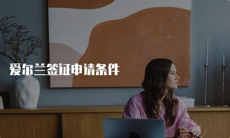 爱尔兰签证申请条件
