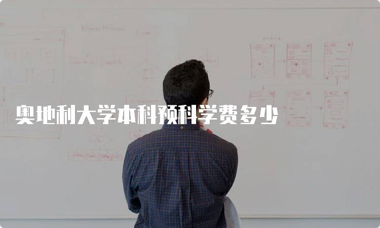 奥地利大学本科预科学费多少