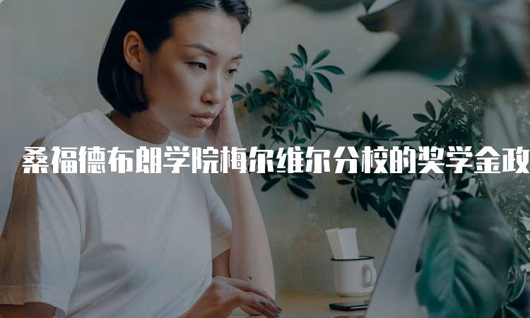 桑福德布朗学院梅尔维尔分校的奖学金政策