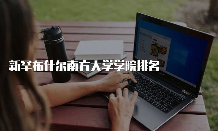 新罕布什尔南方大学学院排名