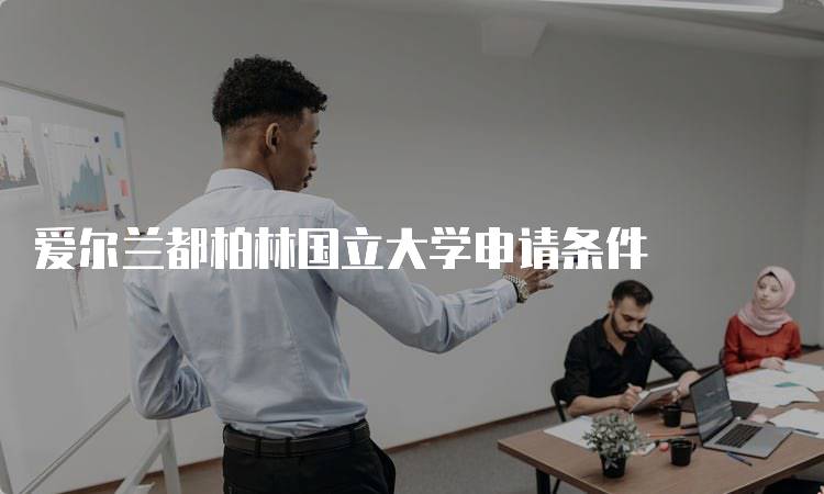 爱尔兰都柏林国立大学申请条件