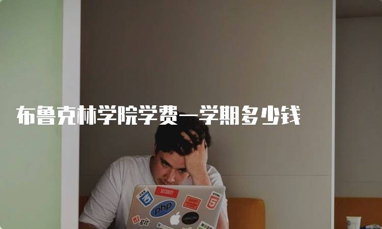 布鲁克林学院学费一学期多少钱