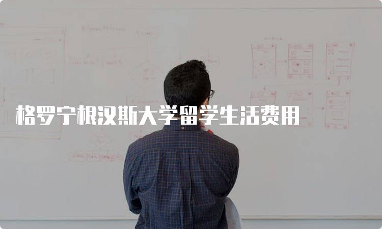 格罗宁根汉斯大学留学生活费用