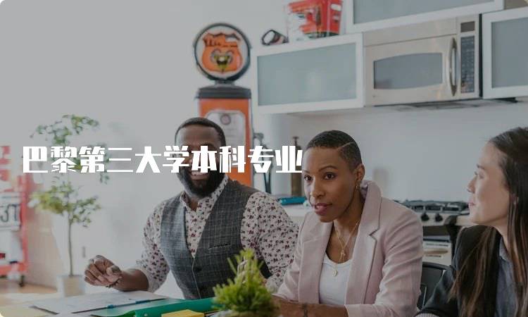 巴黎第三大学本科专业