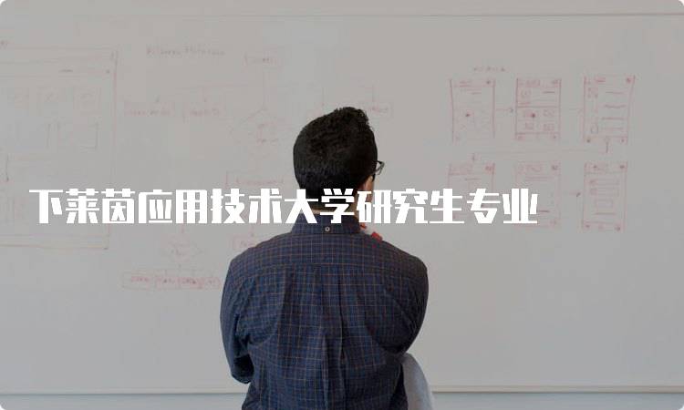 下莱茵应用技术大学研究生专业