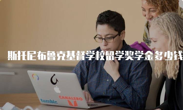斯托尼布鲁克基督学校留学奖学金多少钱