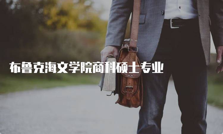 布鲁克海文学院商科硕士专业