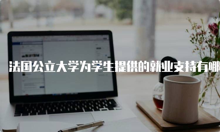 法国公立大学为学生提供的就业支持有哪些？