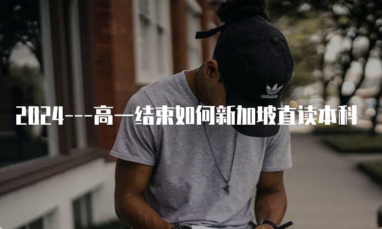 2024---高一结束如何新加坡直读本科