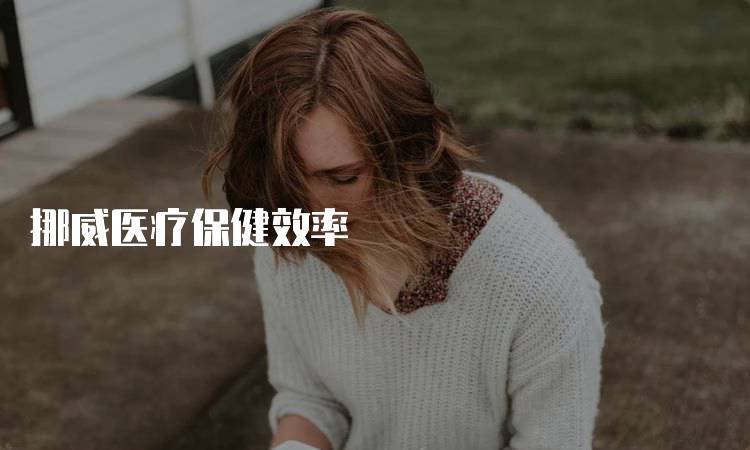 挪威医疗保健效率