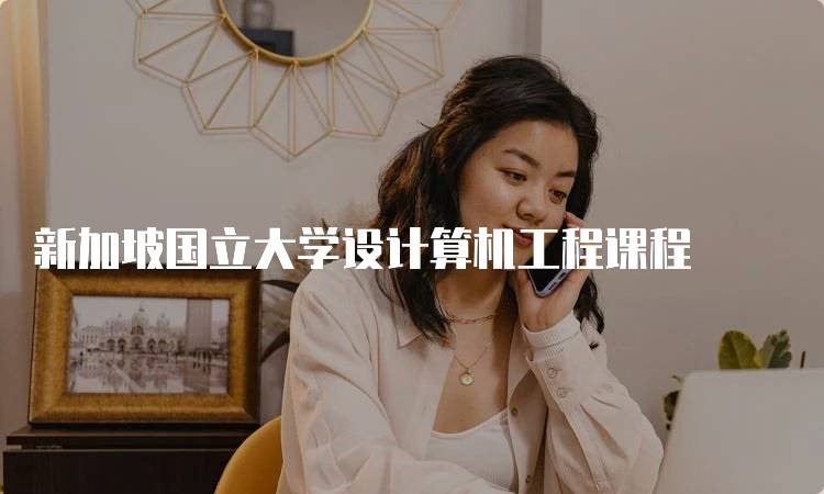 新加坡国立大学设计算机工程课程