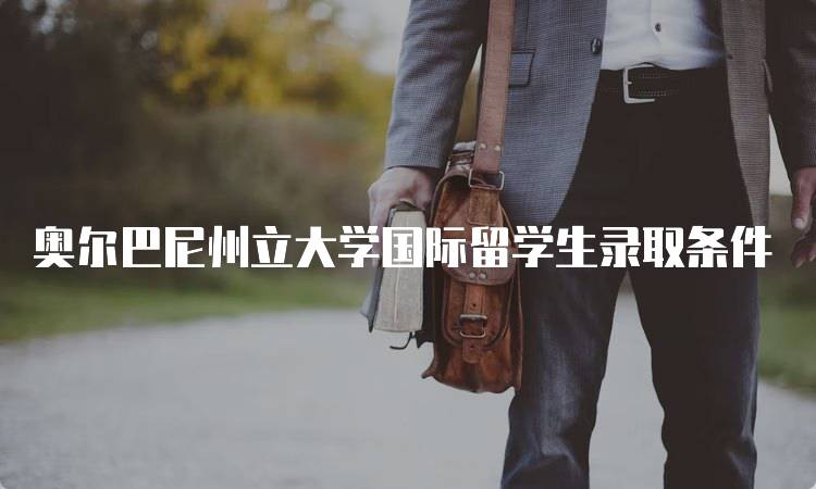 奥尔巴尼州立大学国际留学生录取条件