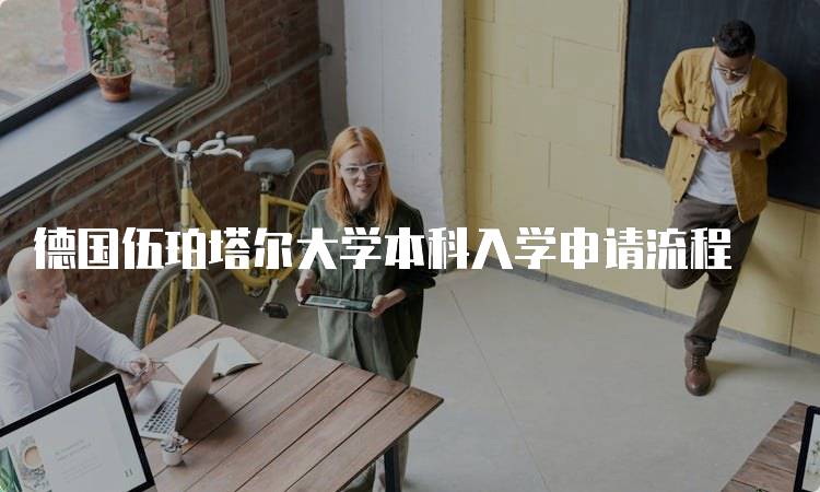 德国伍珀塔尔大学本科入学申请流程