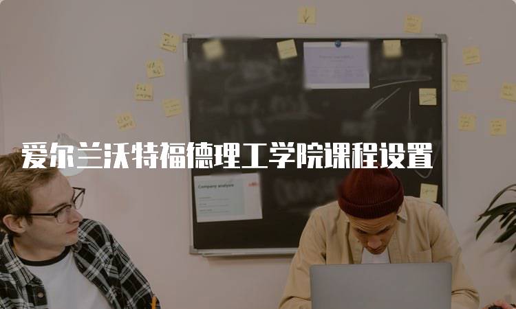 爱尔兰沃特福德理工学院课程设置