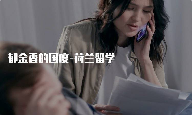 郁金香的国度-荷兰留学