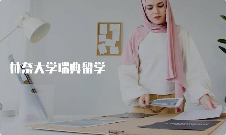林奈大学瑞典留学