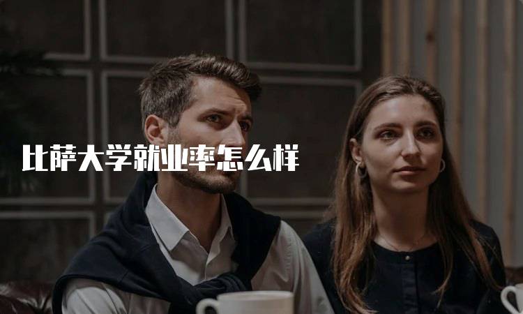 比萨大学就业率怎么样