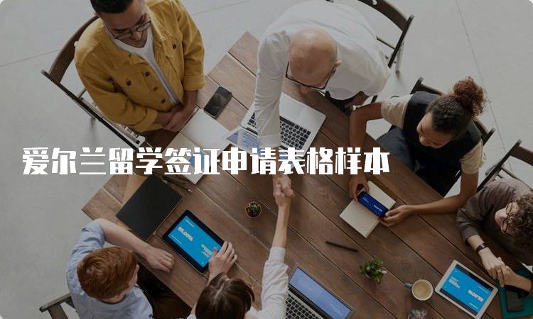 爱尔兰留学签证申请表格样本