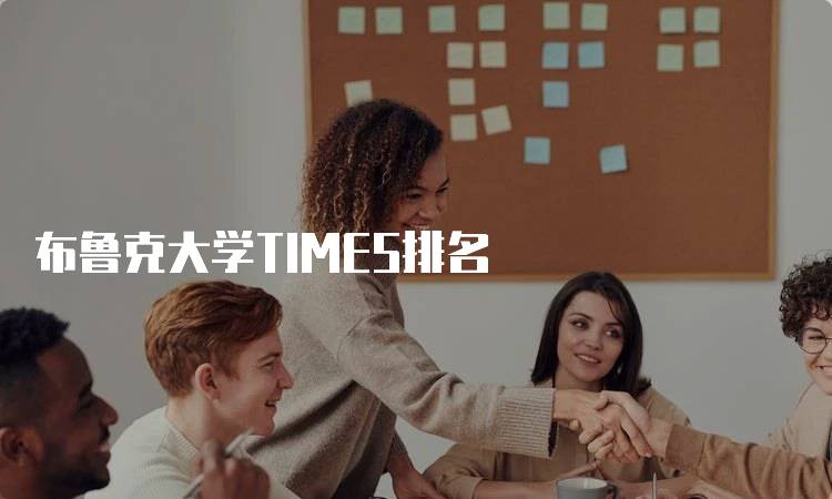 布鲁克大学TIMES排名