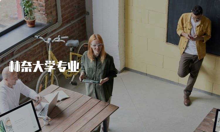 林奈大学专业