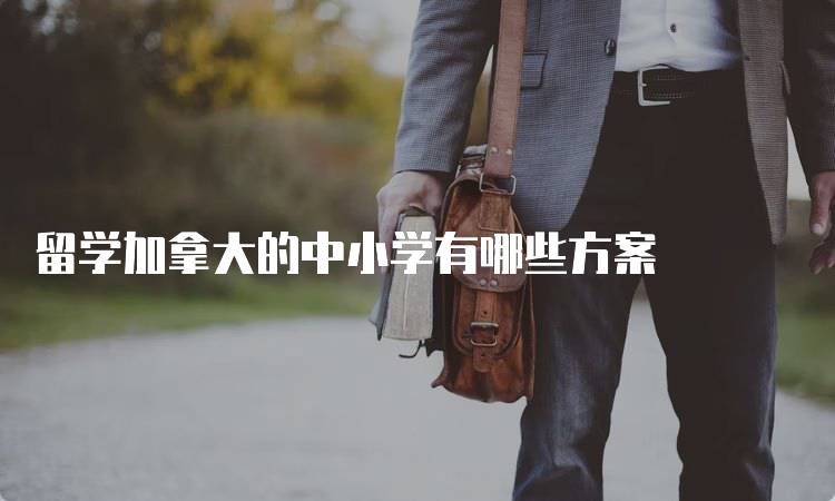 留学加拿大的中小学有哪些方案