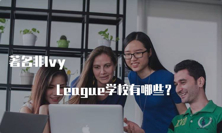 著名非Ivy League学校有哪些？