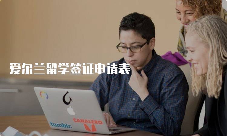 爱尔兰留学签证申请表