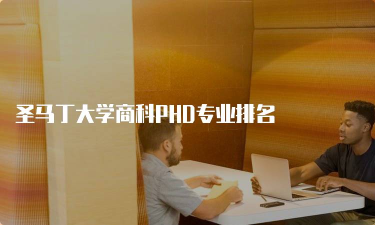 圣马丁大学商科PHD专业排名